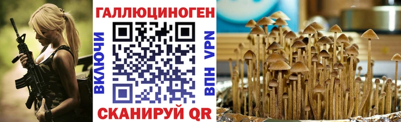 Галлюциногенные грибы Cubensis  OMG рабочий сайт  Сковородино  где продают наркотики 