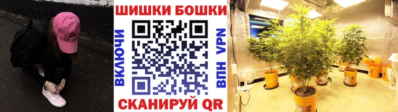 Бошки марихуана Amnesia Сковородино
